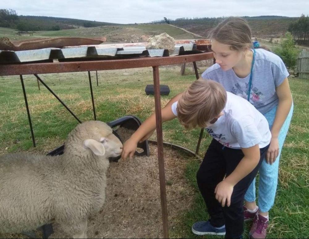 Rocks & Roses Farm Stay Lochiel 外观 照片