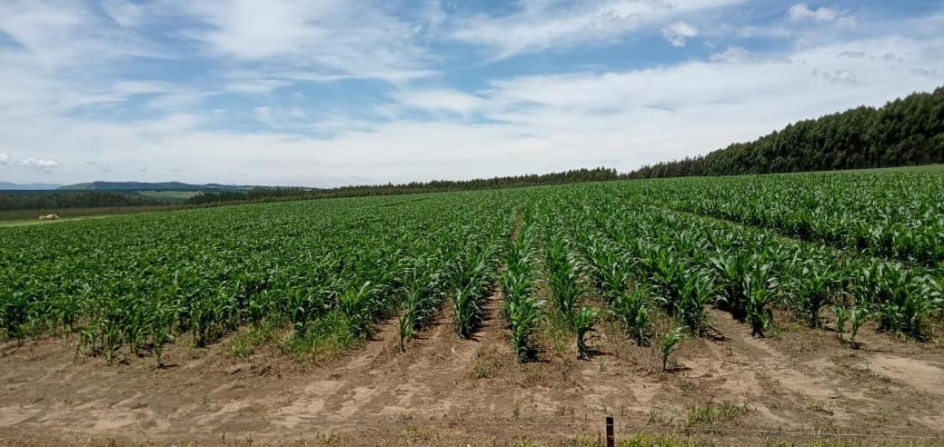 Rocks & Roses Farm Stay Lochiel 外观 照片
