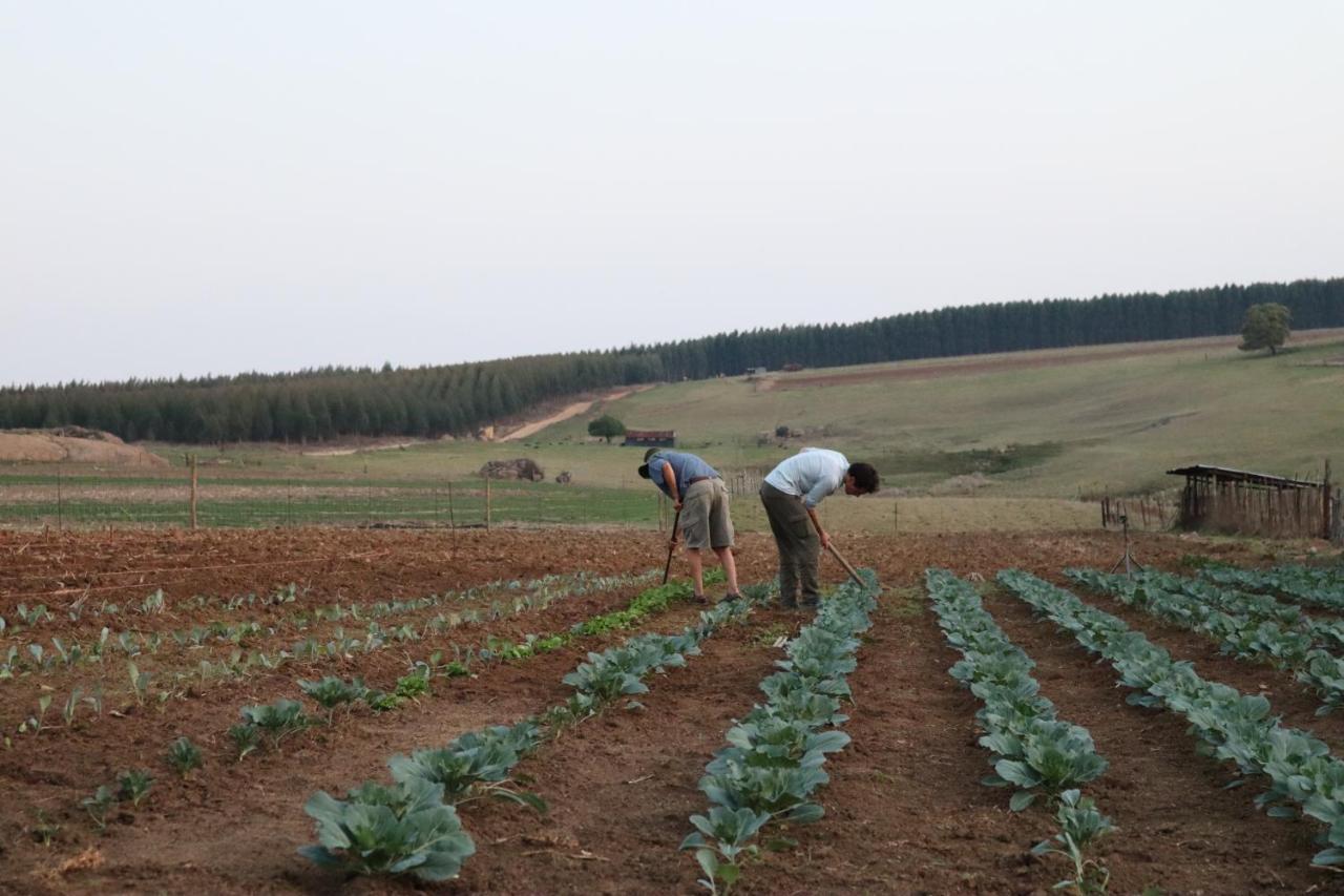 Rocks & Roses Farm Stay Lochiel 外观 照片