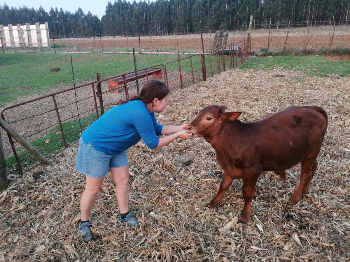 Rocks & Roses Farm Stay Lochiel 外观 照片