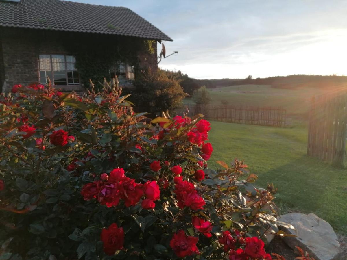 Rocks & Roses Farm Stay Lochiel 外观 照片