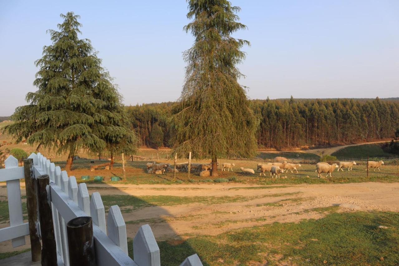 Rocks & Roses Farm Stay Lochiel 外观 照片