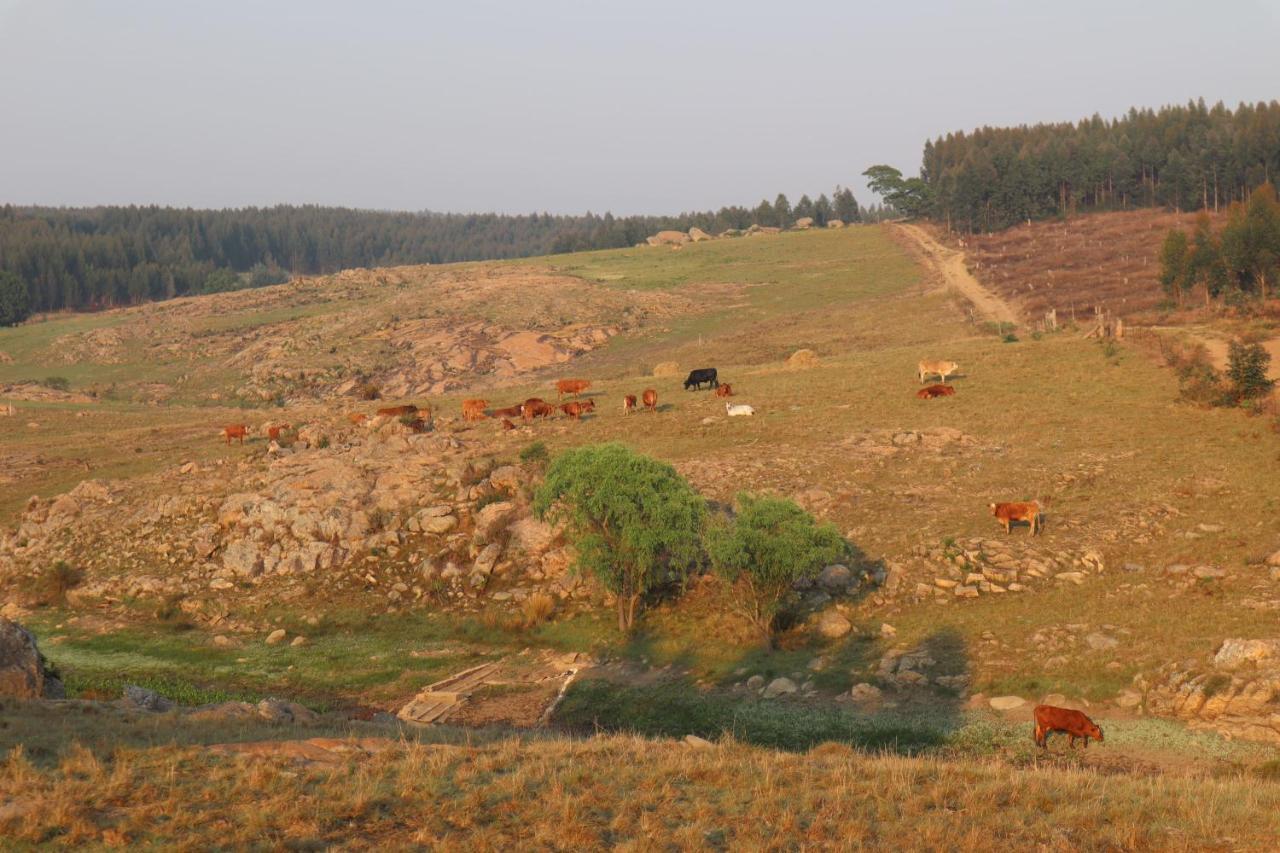 Rocks & Roses Farm Stay Lochiel 外观 照片