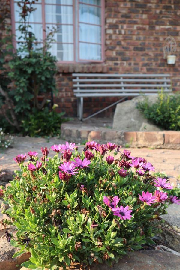 Rocks & Roses Farm Stay Lochiel 外观 照片